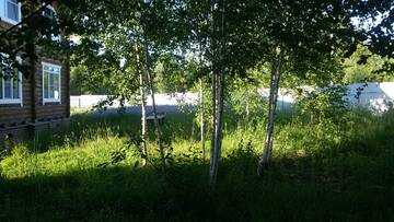 Гостиница Дом Толстый Кот Ижевск